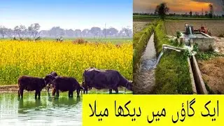 My Village Mala in Marali otar kasur|qasim04official