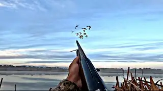 NORTHERN DUCK HUNTING!!! RAID AFTER RAID!!! OUT OF CARTRIDGE!!!