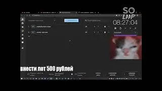 Rabilis про Макото Синкая и его 