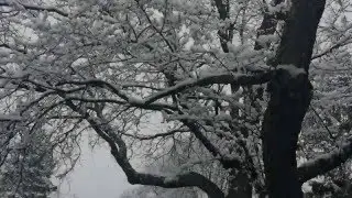 Snow in Slow-mo Shot & Edited on iPhone