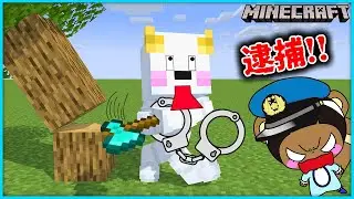 剣を作ったら警察官い逮捕された！？もしもマイクラの世界に現実のルールがあったら…【マインクラフト・マイクラ】【サンクラ】｜ゲーム実況｜★サンサンキッズGAMES★