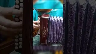 Под окном черемуха  колышется 3 аккорда 300 песен как быстро научиться играть на гармони урок