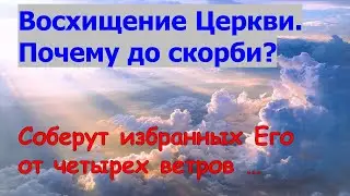 Восхищение Церкви. Почему до скорби? Соберут избранных Его от четырех ветров...