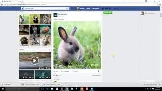 Download Video From Facebook Easily {2016}