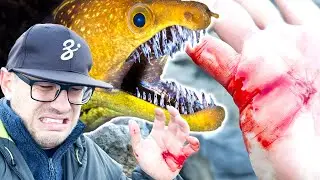 MOREY Eel BITES 🤮 - Never do This Mistake!!!