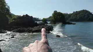 WAVE ACTION on a tectonically uplifting coast, with a curious bird!