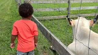 My day at the Farm.