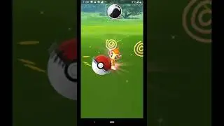Community day chimchar Pokemon go