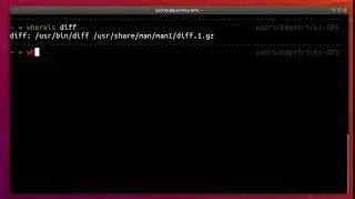 How to find a program path in Ubuntu Linux