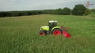 Мульчировщик Kverneland - борьба с засоренными посевами сахарной свеклы!