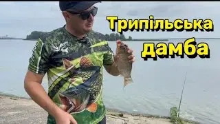 Трипільська дамба , ловимо великого карася та іншу рибу)))