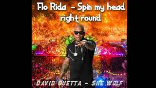 Flo Rida - You Spin Me Right Round (David Guetta - She Wolf) MASH UP