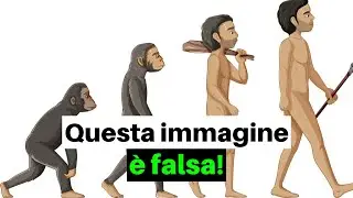 L’UOMO NON DISCENDE DALLA SCIMMIA: ecco cosa ci dice la scienza