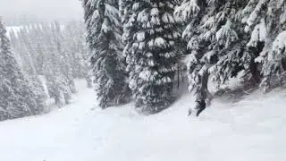 Danger Diabolik / Stevens Pass