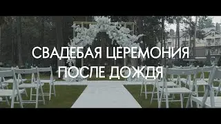 свадебная церемония после дождя ведущий Виктор Недоспасов
