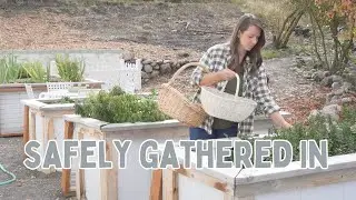 Food Harvesting and Preservation, Herbal Tonics, Preparing for Winter