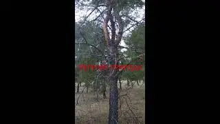 Явления природы.