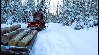 One winter day in the life of Alaska.