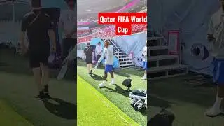 Qater FIFA World Cup Mesi entry  #shorts #fifa