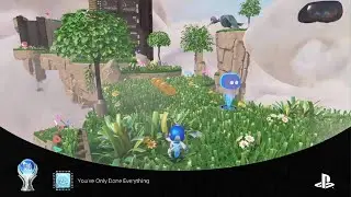 Astro's Playroom (Platinum Moment)