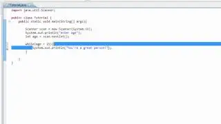 Intro to Java Programming 13 - While Loop