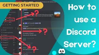 How to use a Discord Server