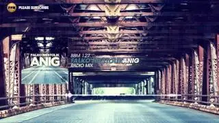Falko Niestolik - Anig (Radio Mix)