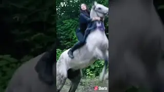 Girl Horse Ride 🤠 / Horse 🐎 Happy Mood 