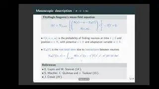 Alain Blaustein - A kinetic description of the strong interaction regime in a FitzHug-Nagumo...