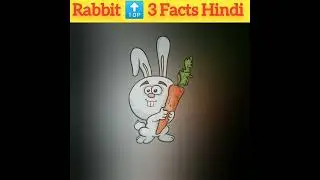 Amazing Facts About Rabbit | Rabbit Facts Shorts | Shorts About Facts | Animal Facts | Hindi Facts