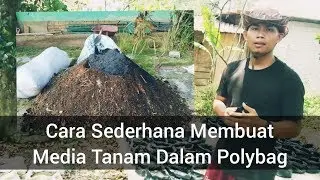 CARA MUDAH MEMBUAT MEDIA TANAM JAHE Di Polybag