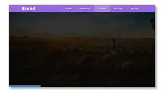 Navbar with Hover Indicator Using HTML & CSS | Navigation Menu Bar