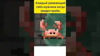 Каждый мужчина который увидел краба.Shattered pixel dungeon.