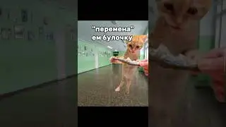 Рил:мой понедельник
