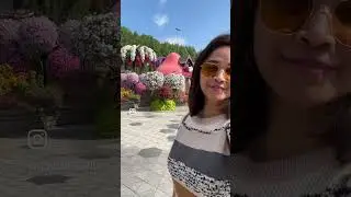 Dubai Miracle Garden 2024