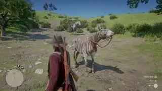 Red Dead Redemption 2 - He's British, Of Course II - Mule/Zebra