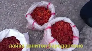 Исфара Кайса бозор