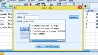 Part 4 SPSS Measurement Scale with Example (Ordinal scale )
