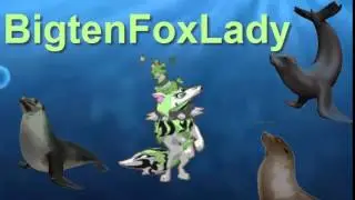 New Intro!!