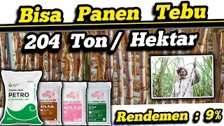 ✅ The Best Fertilizer Mix for Sugarcane Cultivation‼️Small Capital, Big Profits✅ From Planting to...