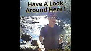Have A Look Around Here! #goldprospecting #chasinggold
