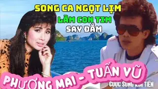 Bản tình ca nghe hay nhói tim | Phượng Mai Tuấn Vũ 