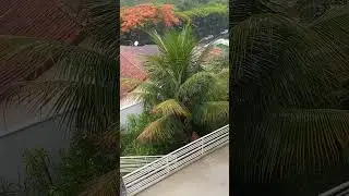 UM DIA COM CHUVA