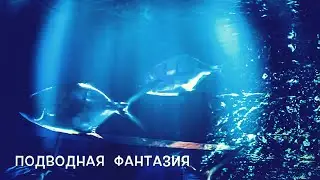 "Подводная фантазия"