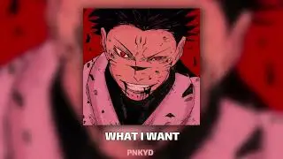WHAT I WANT - Gregor McMurray (slowed + reverb + bass boosted) tik tok remix