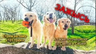 ЗАЖЫСЬ. 29 марта 2024 в 19.00
