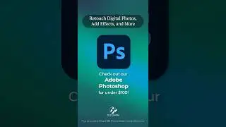 Top Photoshop Plugins Under $100 