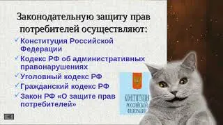 Как безопасно совершать покупки через интернет