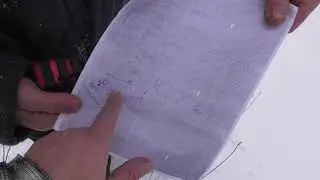 Леспромхоз в сговоре с полицией Белорецкого района??