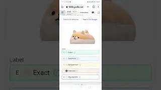 Search Relevance Evaluation (English) 0.15 paid task new 
